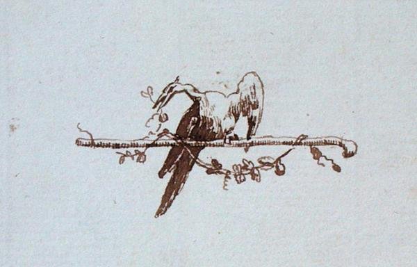 Drawing from Michael Faraday