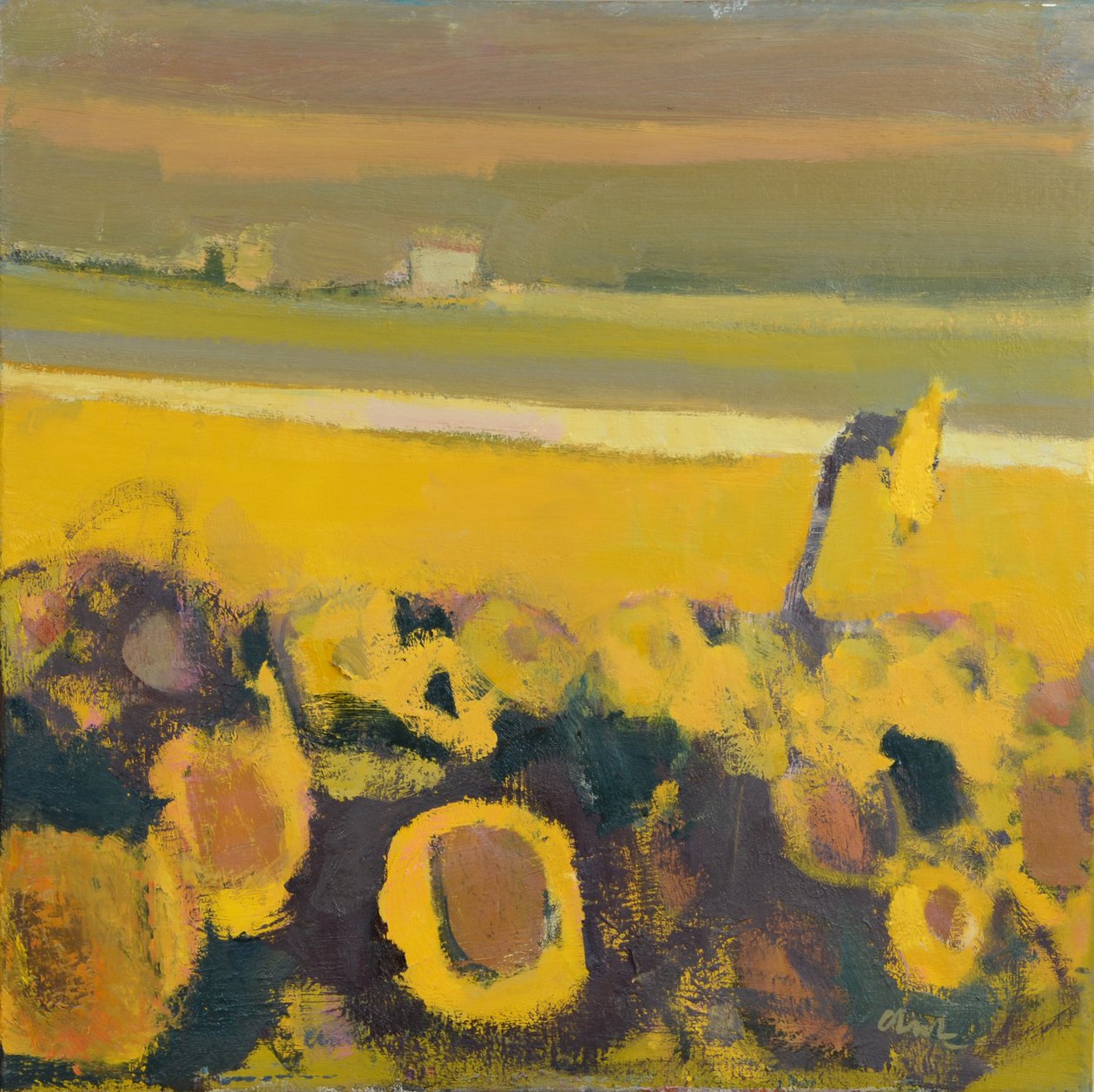 Sunflowers near Puymirol, 2017 by Michael G. Clark