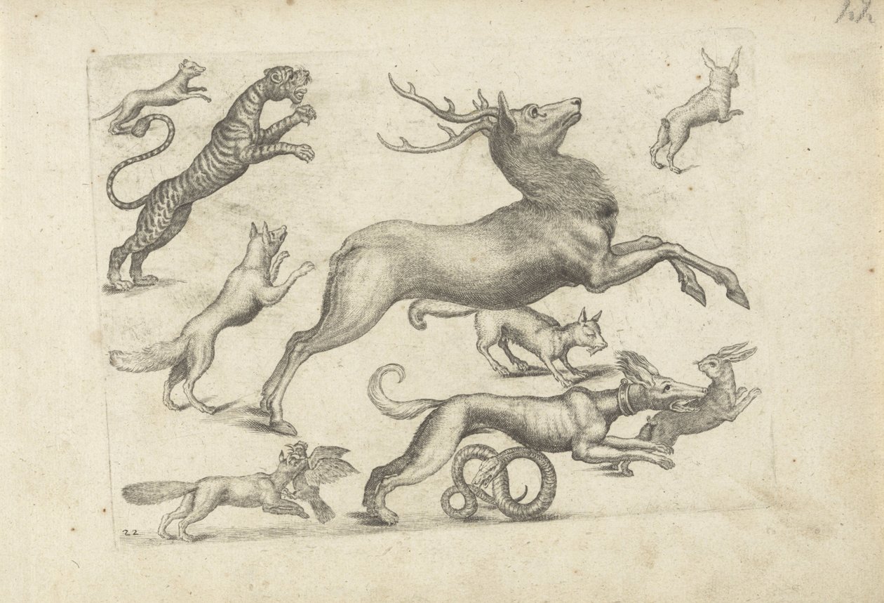 Study Sheet with Drawing Examples: Various Animals by Michael Snijders (attributed to)