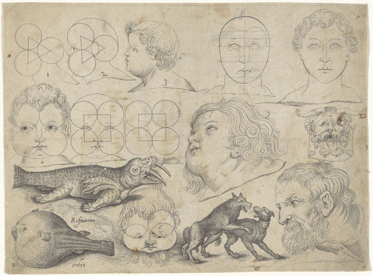 Study Sheet with Drawing Examples: Figures, Animals by Michael Snijders