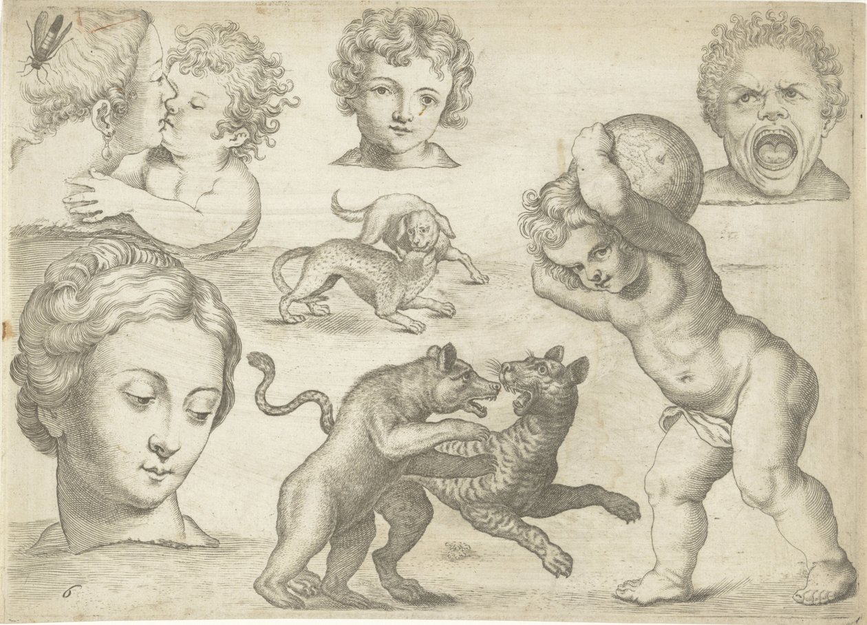 Study Sheet with Drawing Examples: Heads and Fighting Animals (series title: Drawing Examples) by Michael Snijders