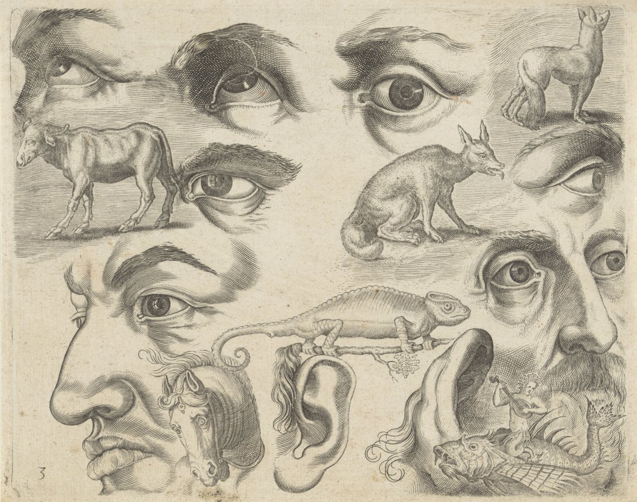 Study Sheet with Drawing Examples: Eyes, Heads, and Animals (Series Title: Drawing Examples) by Michael Snijders