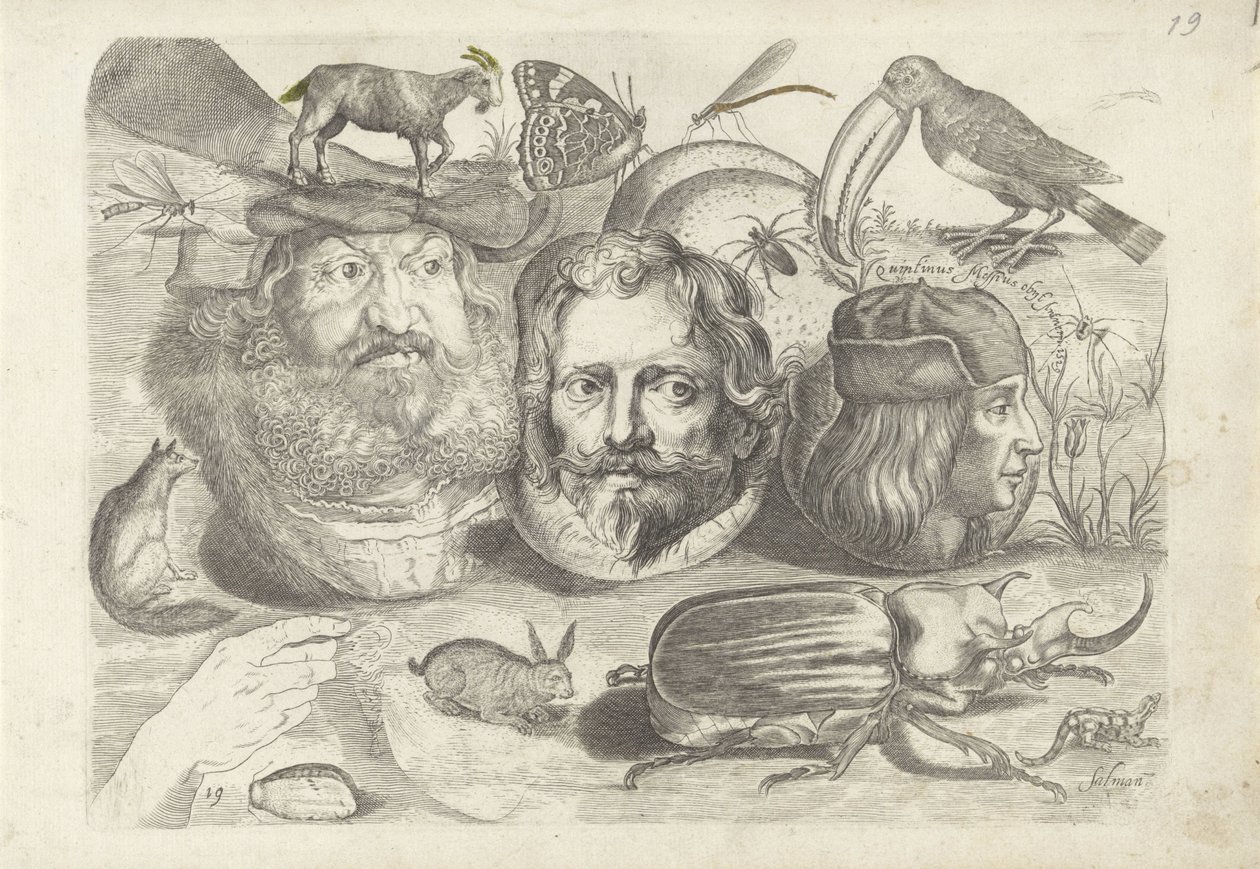Study Sheet with Drawing Examples: Portraits, Animals, Insects by Michael Snijders