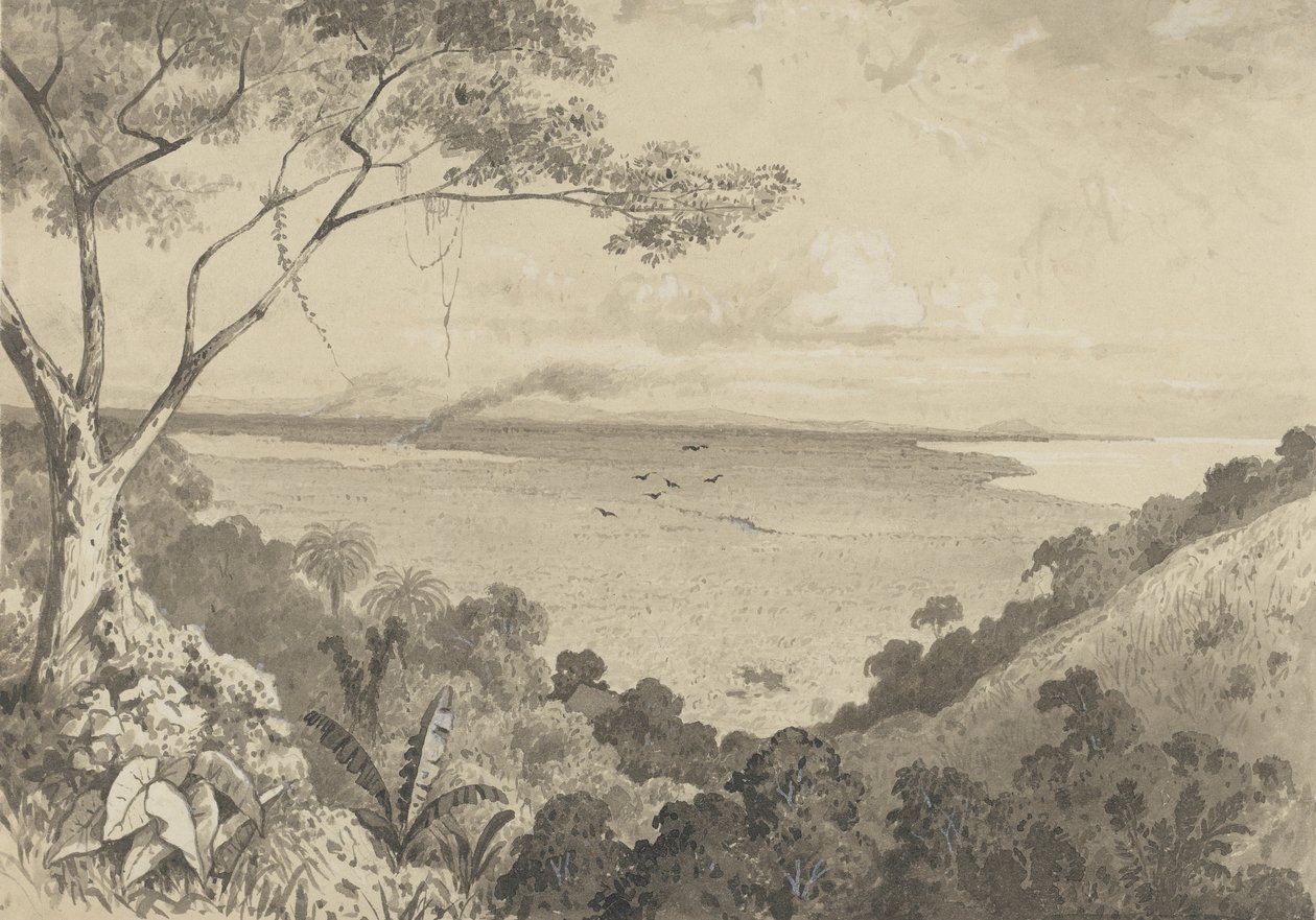 View from Laventille Hill by Michel Jean Cazabon