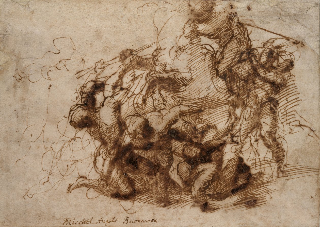 Fight study for the 