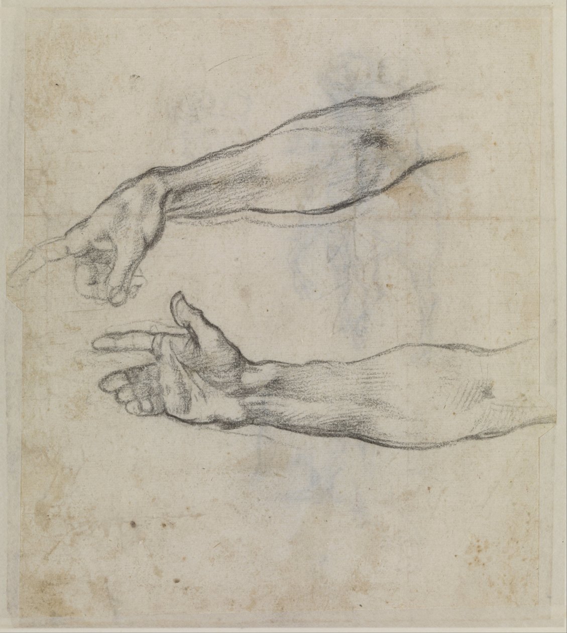 Studies of an outstretched arm for the fresco The Drunkenness of Noah in the Sistine Chapel by Michelangelo Buonarroti