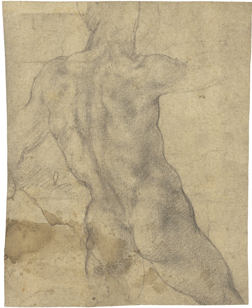 Male nude by Michelangelo Buonarroti