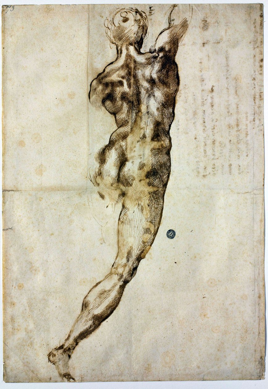 Nude from Behind, c. 1504 by Michelangelo Buonarroti