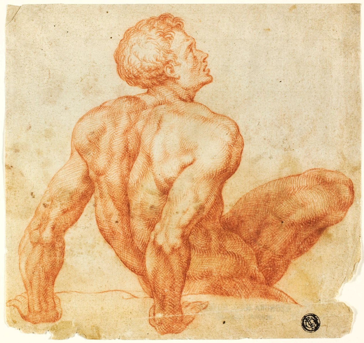 Seated Male Nude by Michelangelo Buonarroti