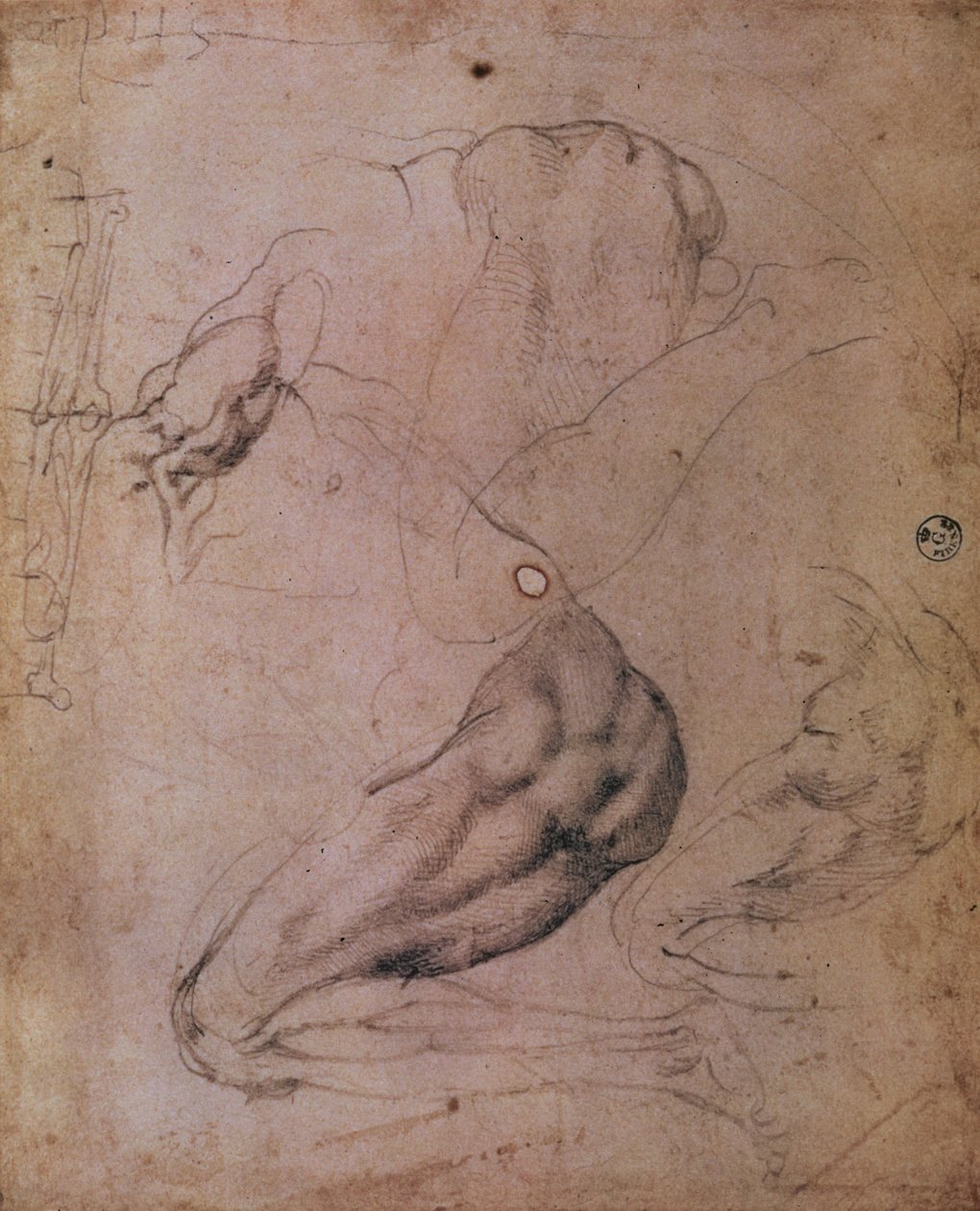 Sistine Chapel Ceiling (1508-12): Sketches of the Figure of Eve from the Scene of The Original Sin by Michelangelo Buonarroti