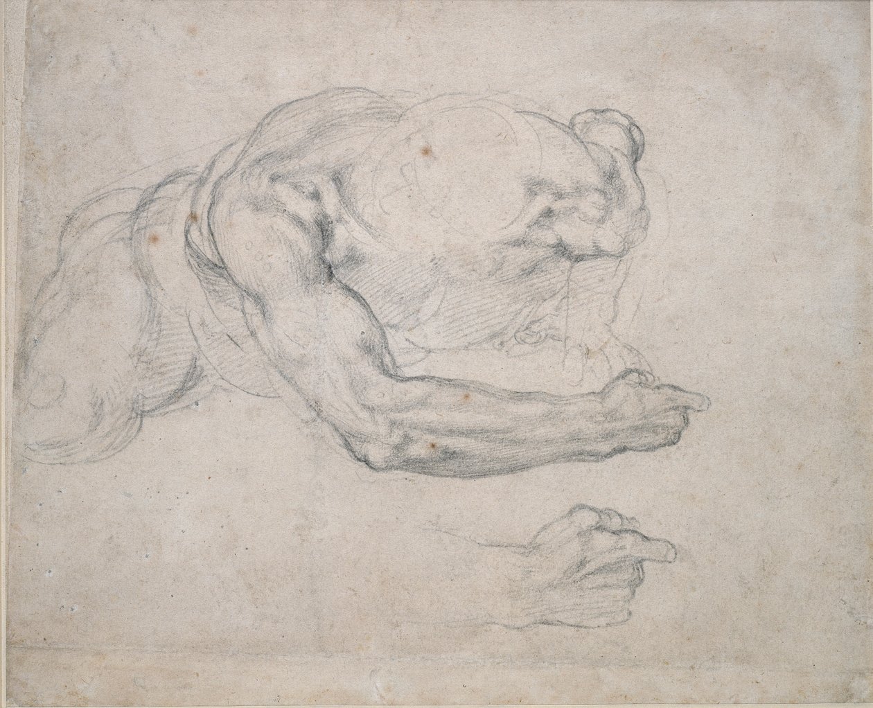 Study of a Man Rising from the Ground