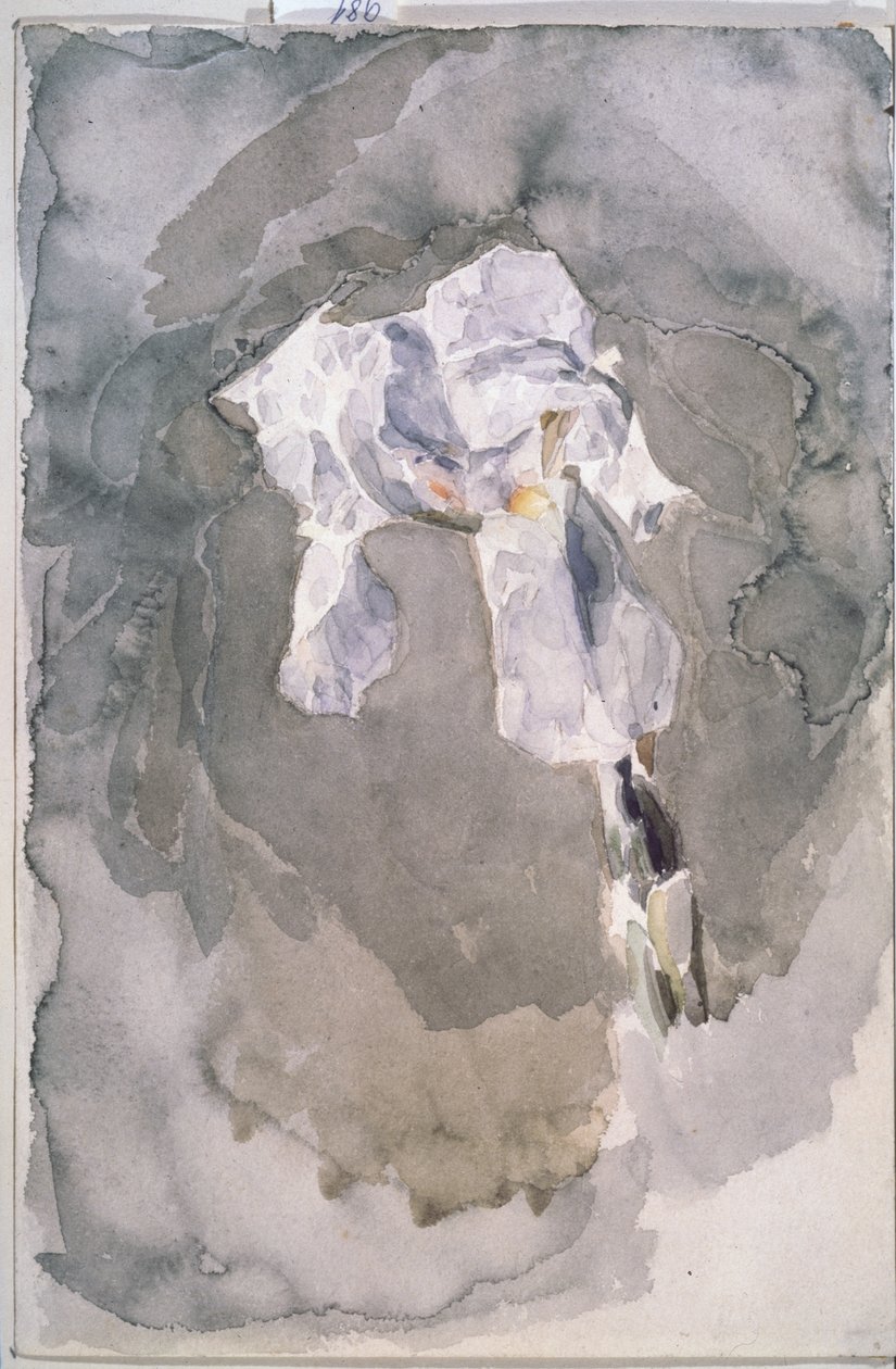 White Iris by Mikhail Aleksandrovich Vrubel