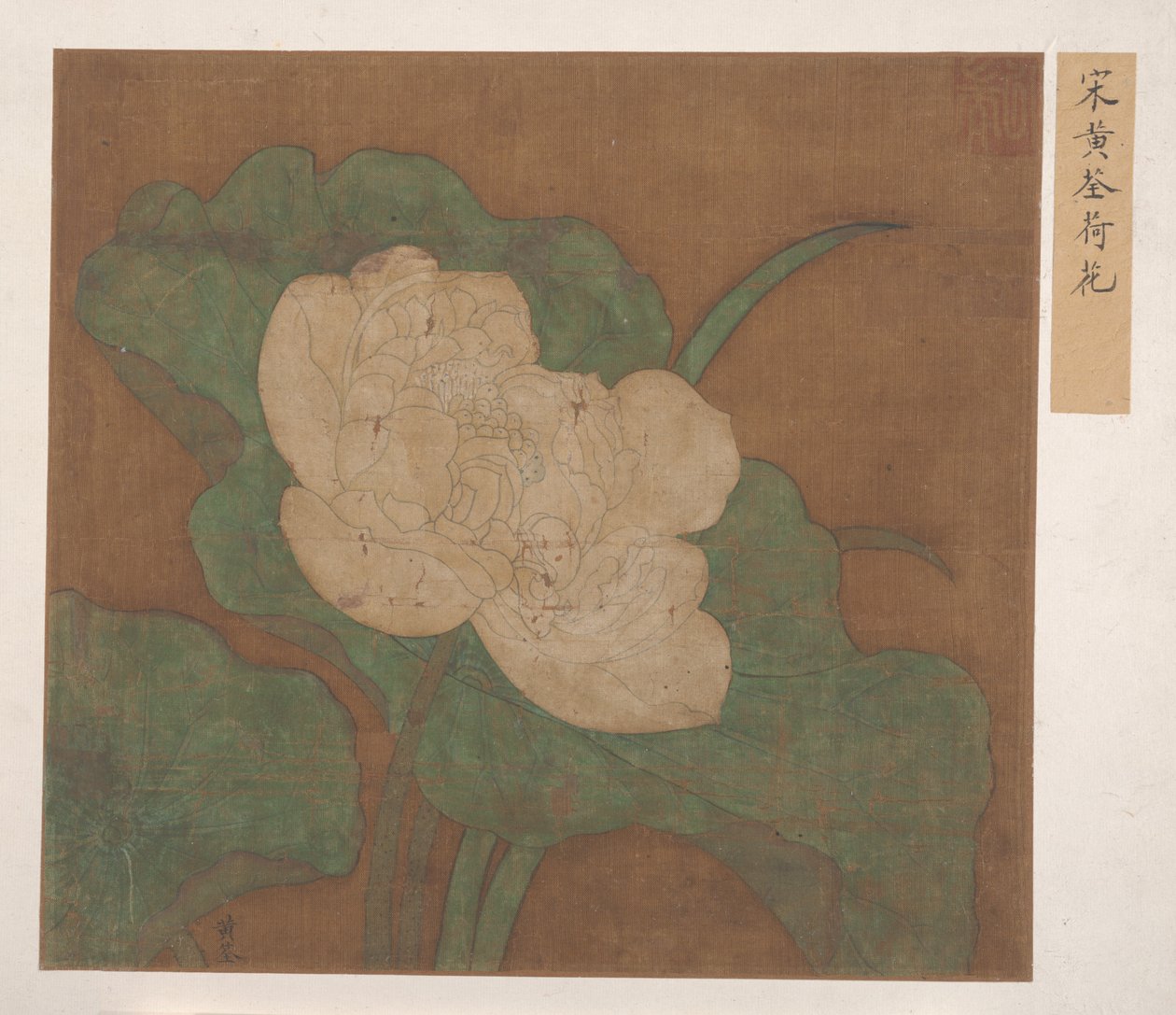 Lotus by Ming Dynasty Chinese School