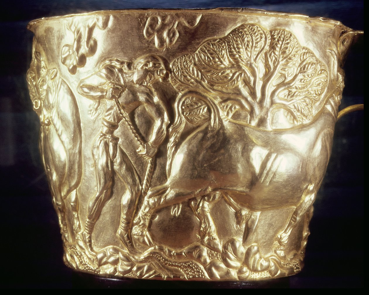 Cup depicting a domestic bull, found in the royal tomb of Vaphio, Sparta, late Minoan I, c.1500 BC by Minoan