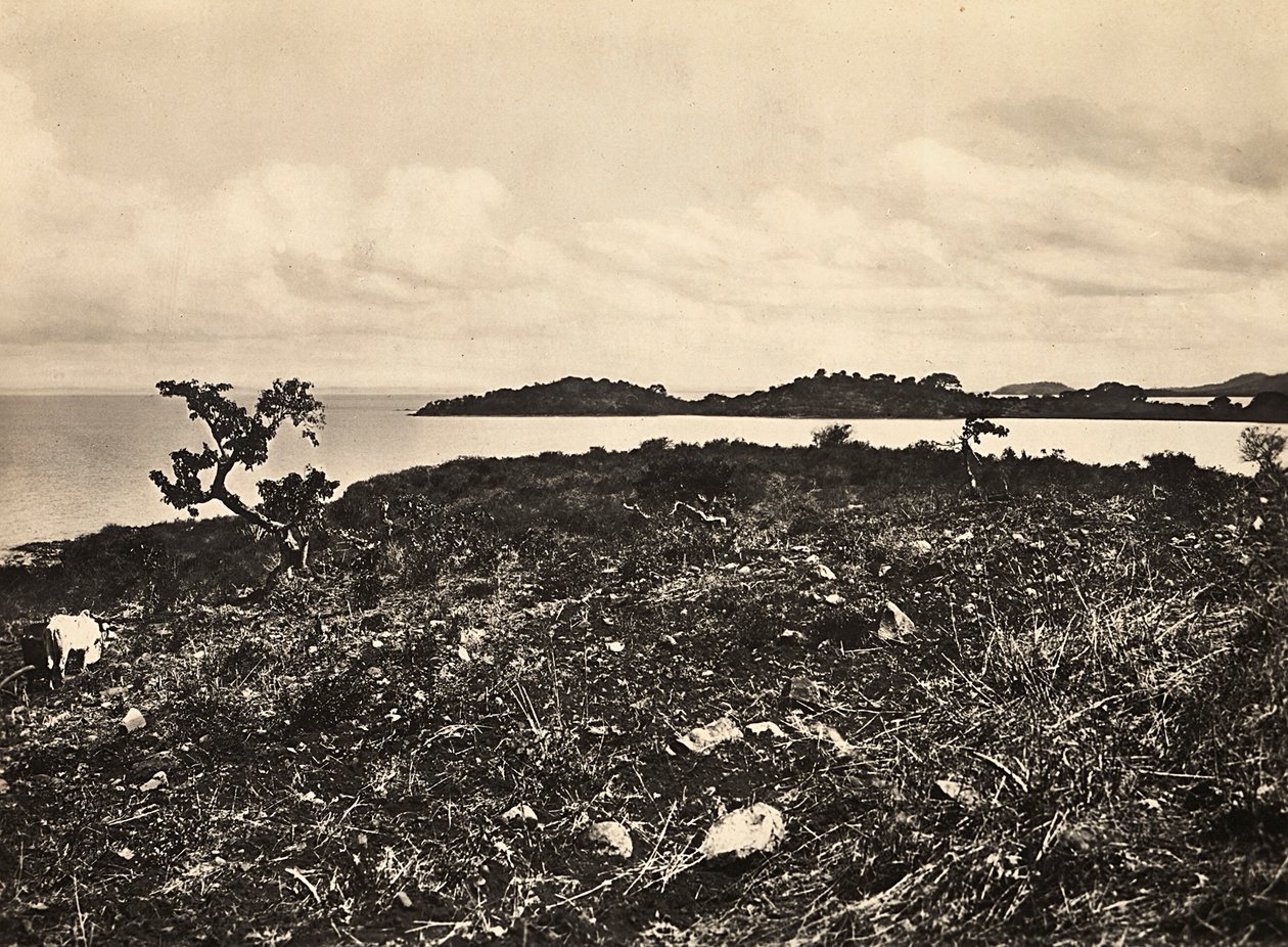 Building an Empire in the Fascist age: Lake Tana, Ethiopia, 09/05/1936 by Modestino Baldinetti