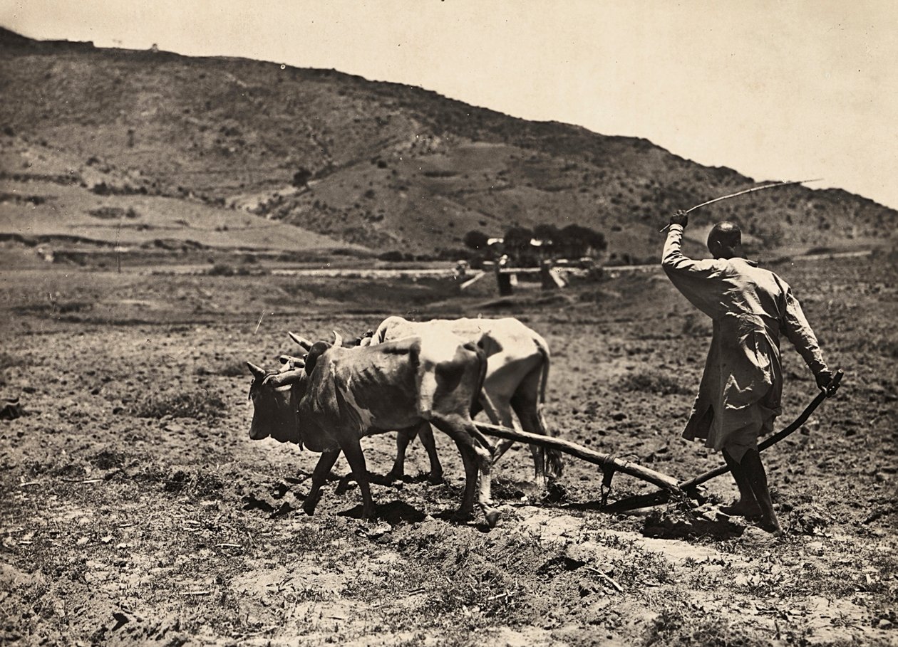 Building an Empire in the Fascist age: ploughing on the altopiano by Modestino Baldinetti