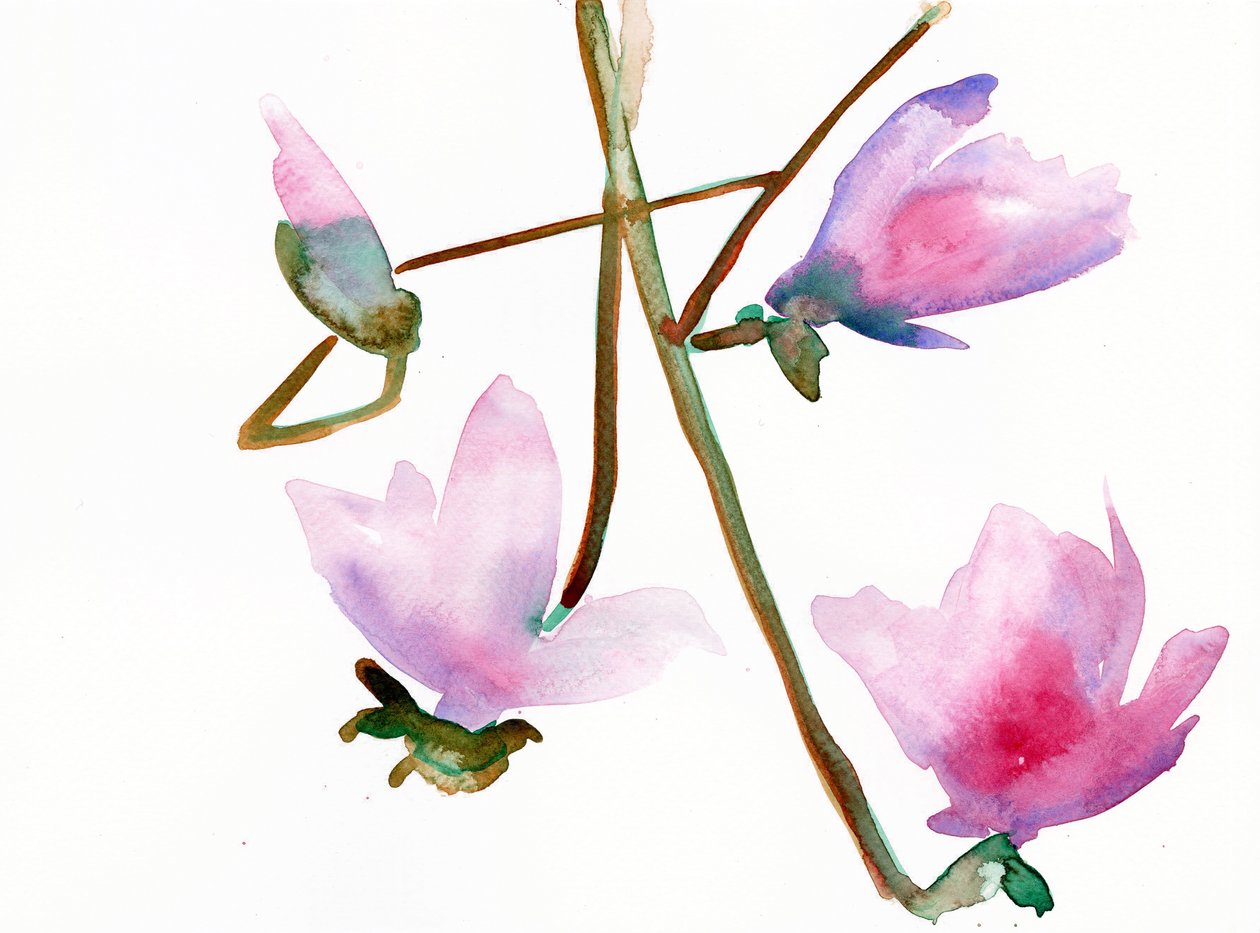 Magnolia 1, 2022 by Monica Perez Vega