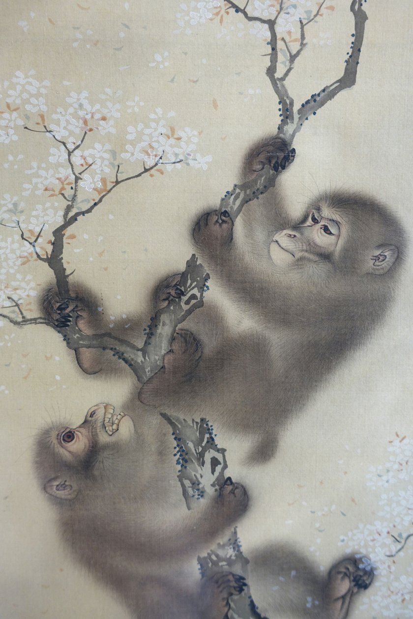 Monkeys in a Blossoming Cherry Tree, 1 of 2 by Mori Sosen