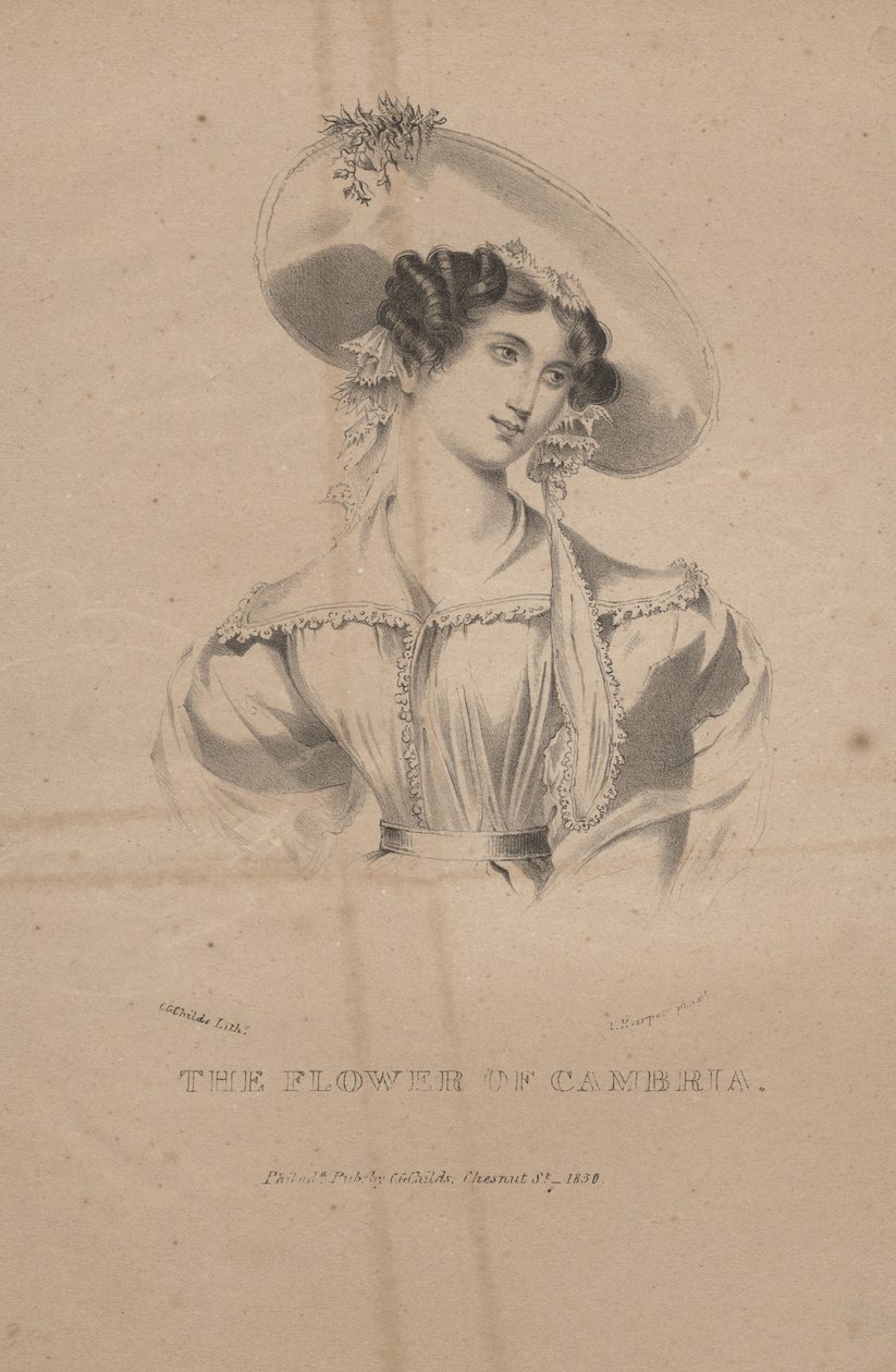 The Flower of Cambria, litho by C.G. Childs by Moses Swett