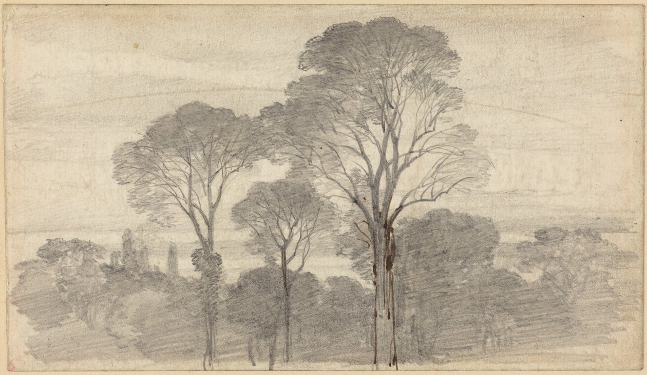 An Evening Landscape with Tall Trees by Myles Birket Foster
