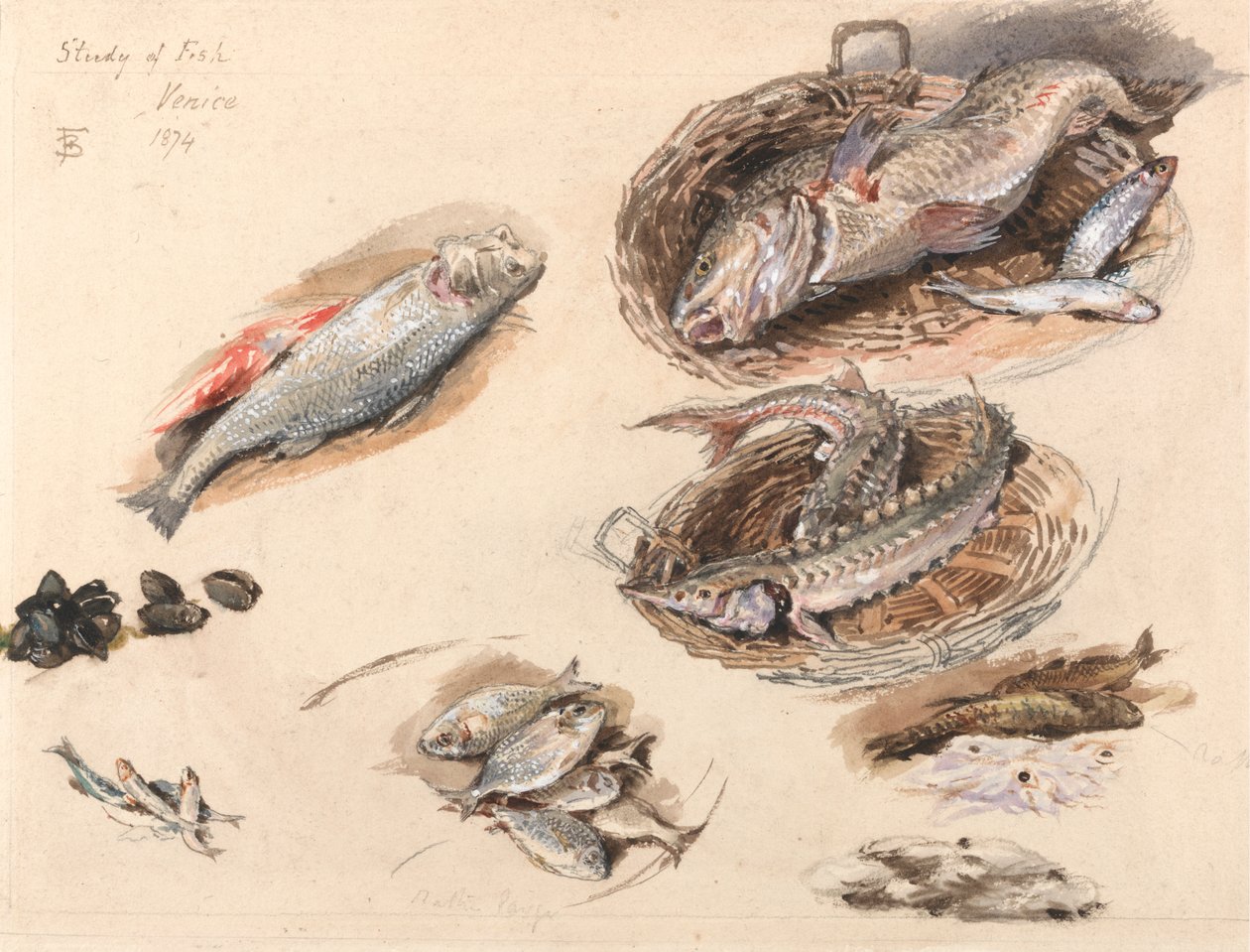 Study of Fish, Venice by Myles Birket Foster