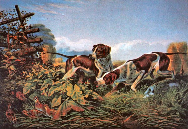 American Field Sports: On a Point by Currier and Ives