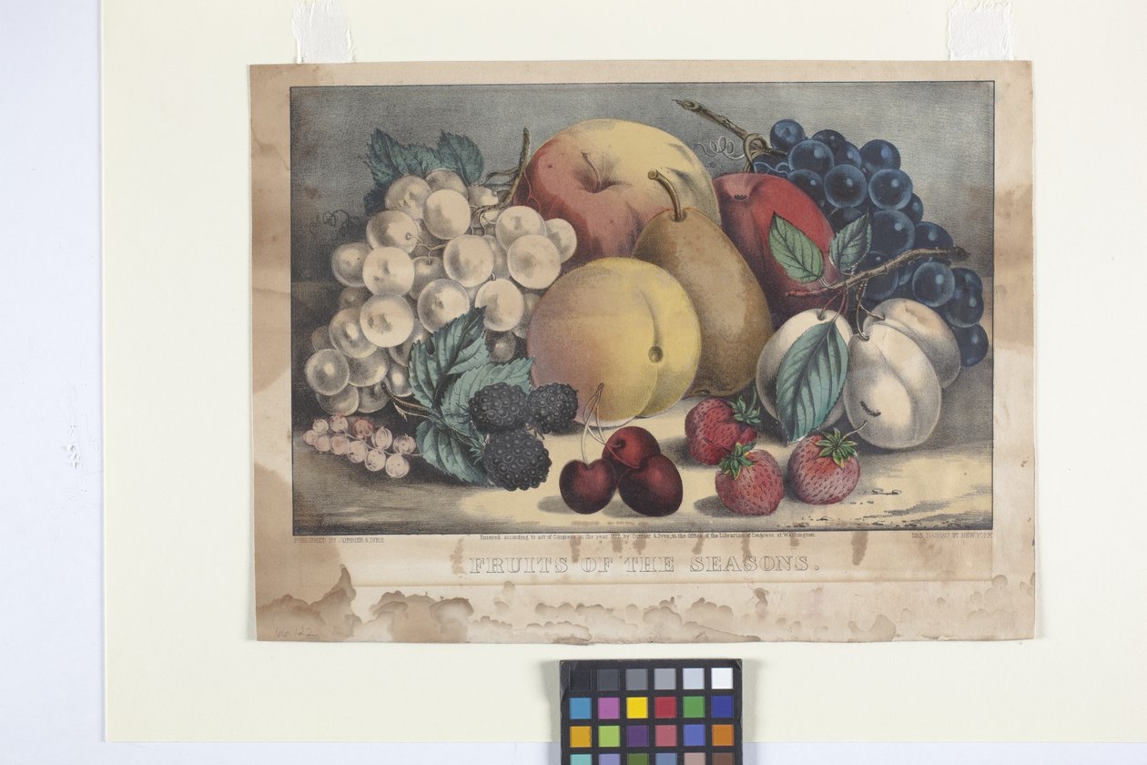 Fruits Of The Season by N. and Ives J.M. (1824-95) Currier