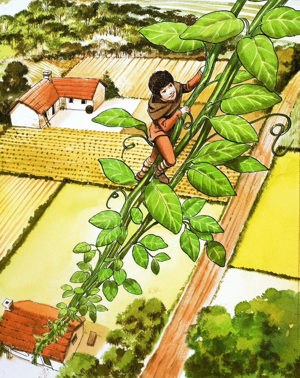 Jack and the Beanstalk by Nadir Quinto