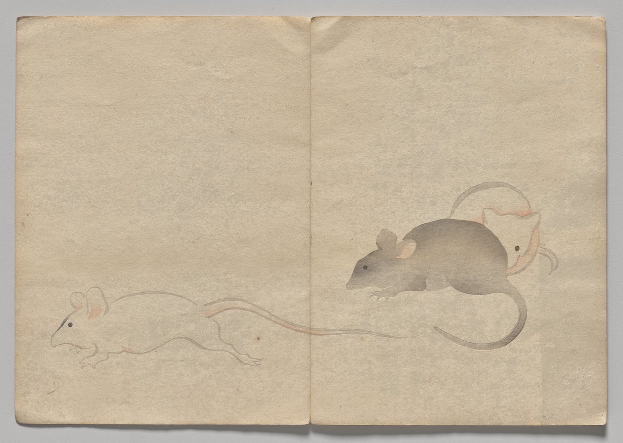 Scene from The Kōrin Picture Book (Volume 2) by Nakamura Hochu