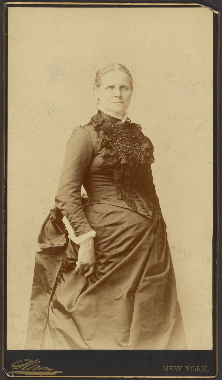 [Unidentified woman in long dress standing] by Napoleon Sarony