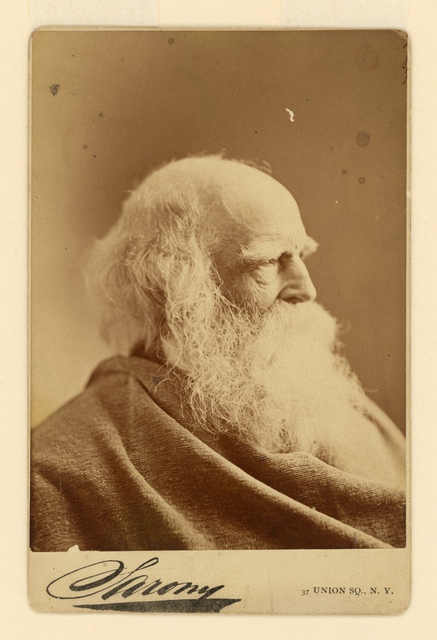 William Cullen Bryant by Napoleon Sarony