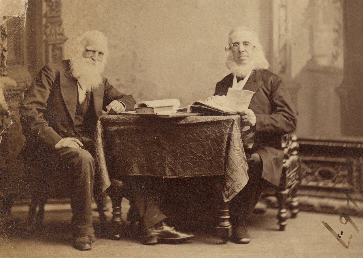 William Cullen Bryant and Peter Cooper by Napoleon Sarony