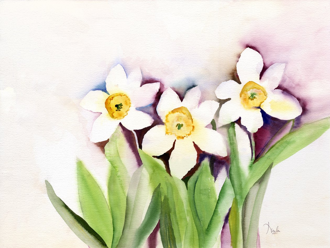 Three Daffodils by Neela Pushparaj