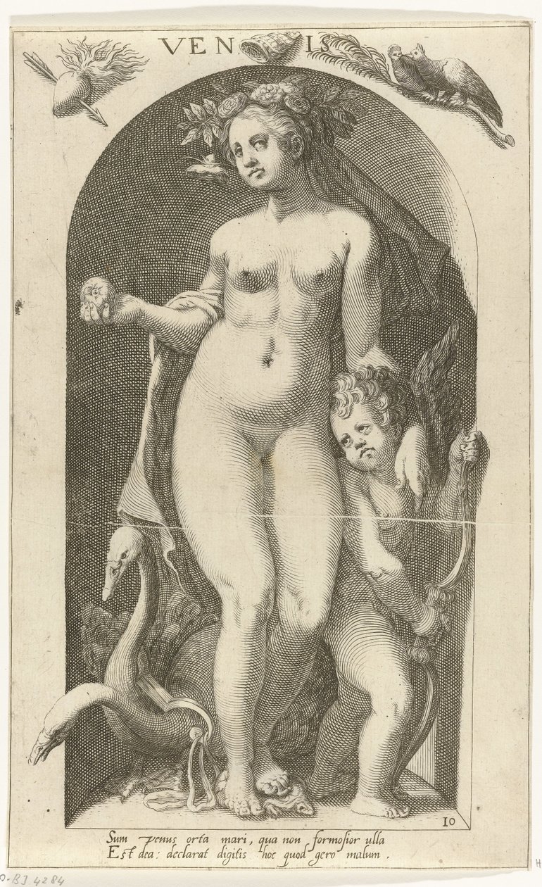 Venus by Nicolaas Braeu