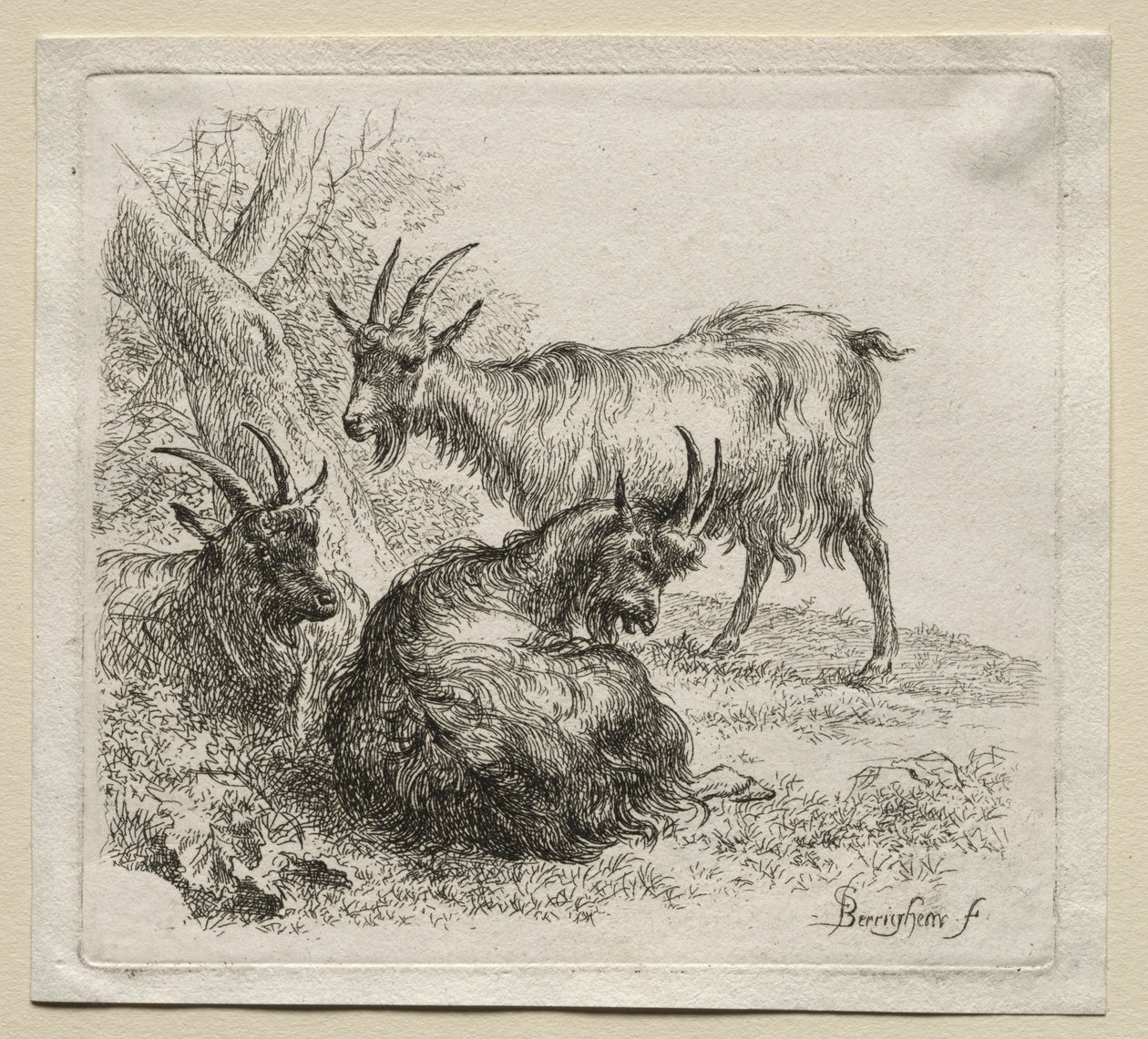 Animalia: Three Goats by Nicolaes Berchem