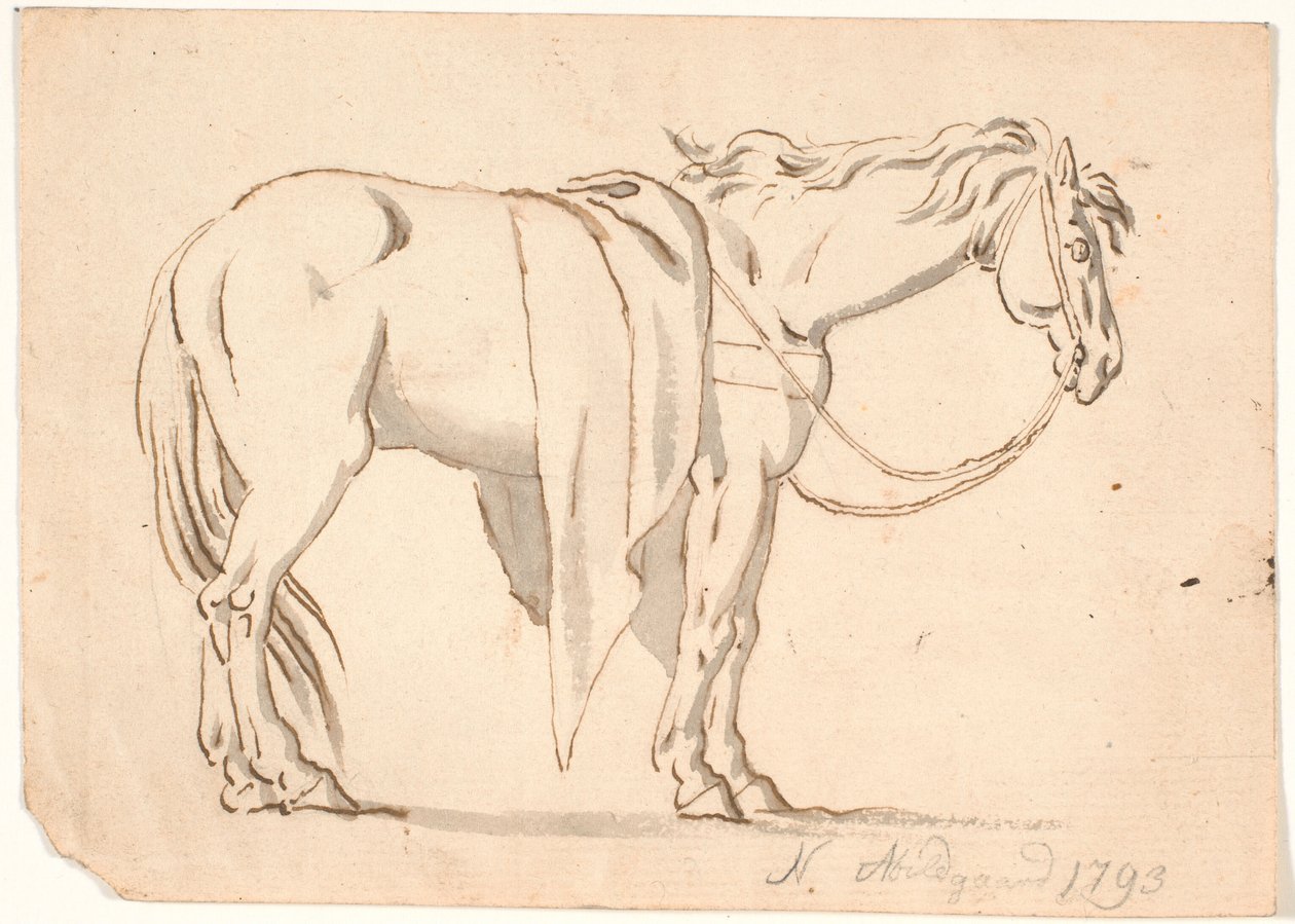 A Horse with a Blanket On by Nicolai Abildgaard