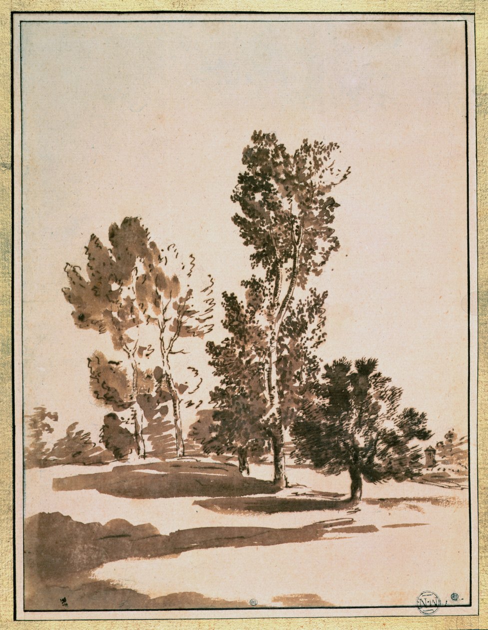 Tree Study by Nicolas Poussin