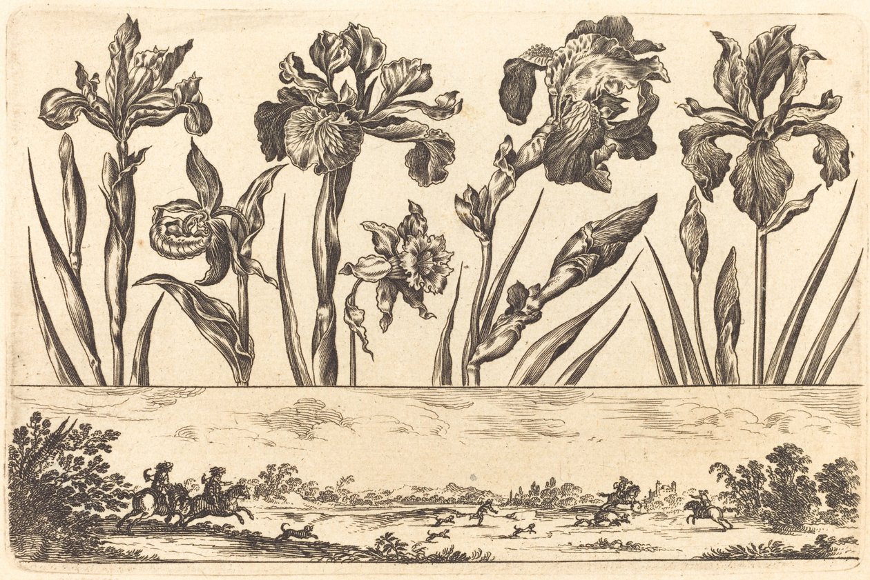Flower Print No.3 by Nicolas Cochin after Balthasar Moncornet