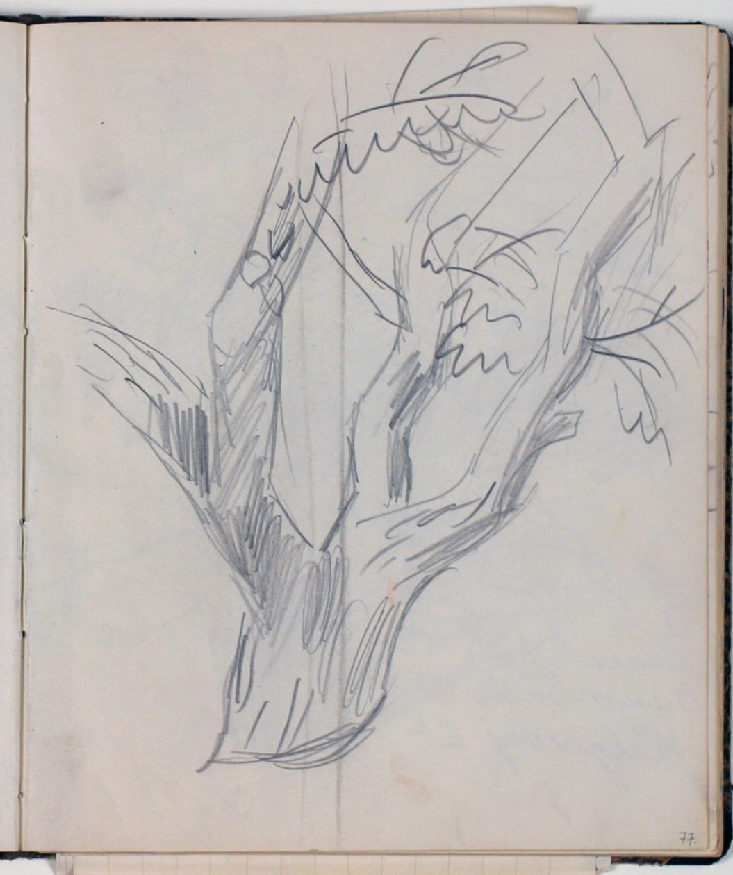Study of Tree Crown by Niels Larsen Stevns