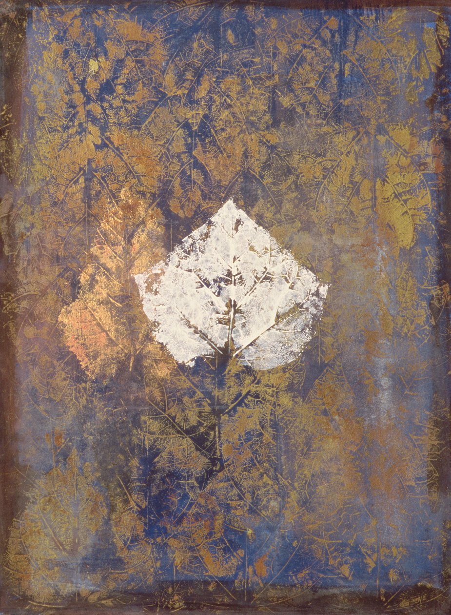 Borromeo by Nissan Engel