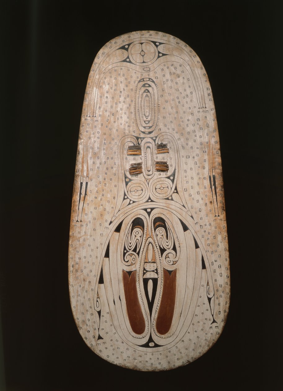 Shield, Trobriand Islands by Oceanic