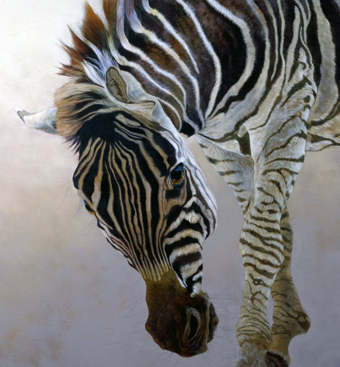 Equus Burchelli 2 (detail) by Odile Kidd
