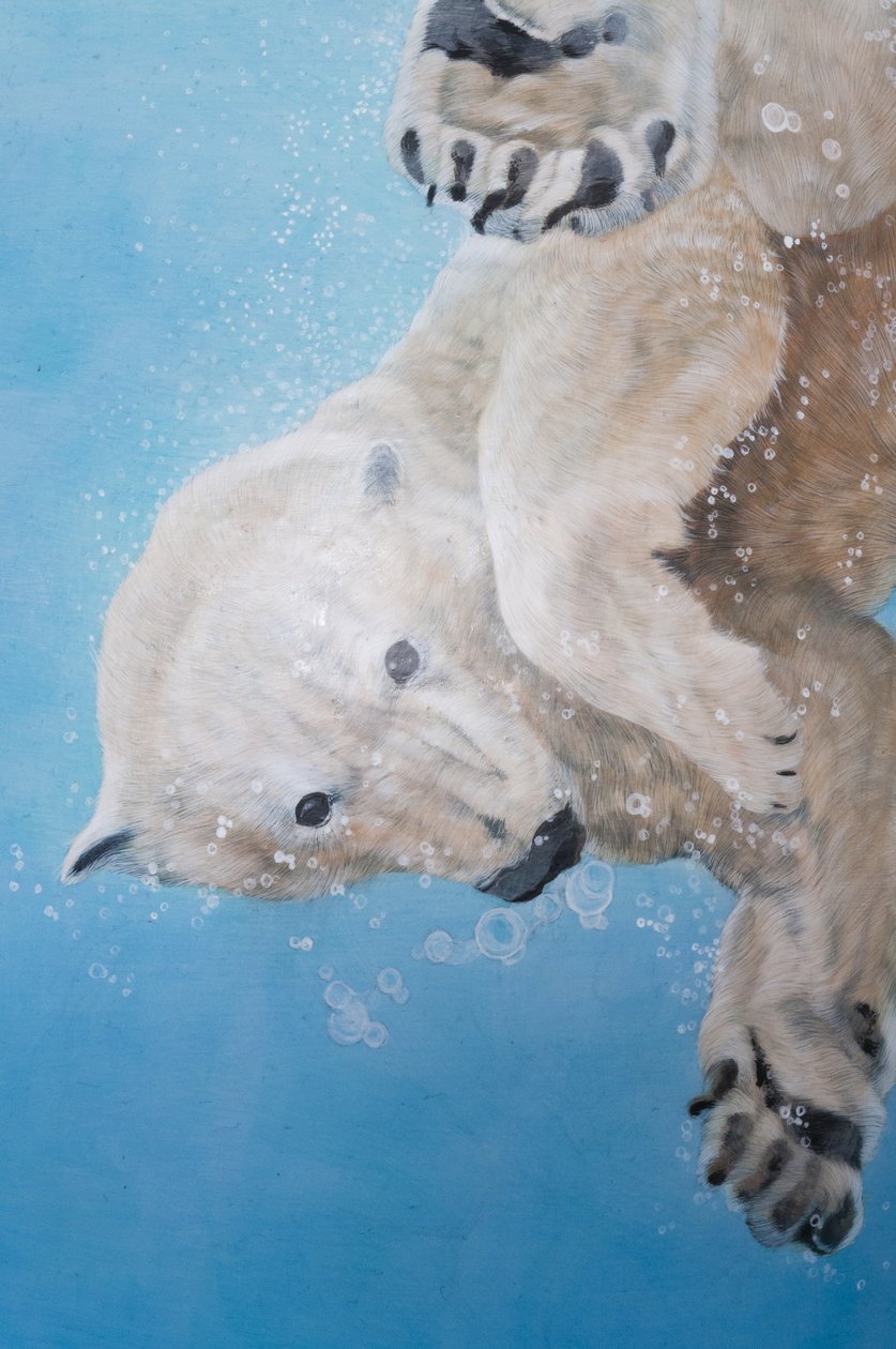 Polar Bear Ballet (detail) by Odile Kidd