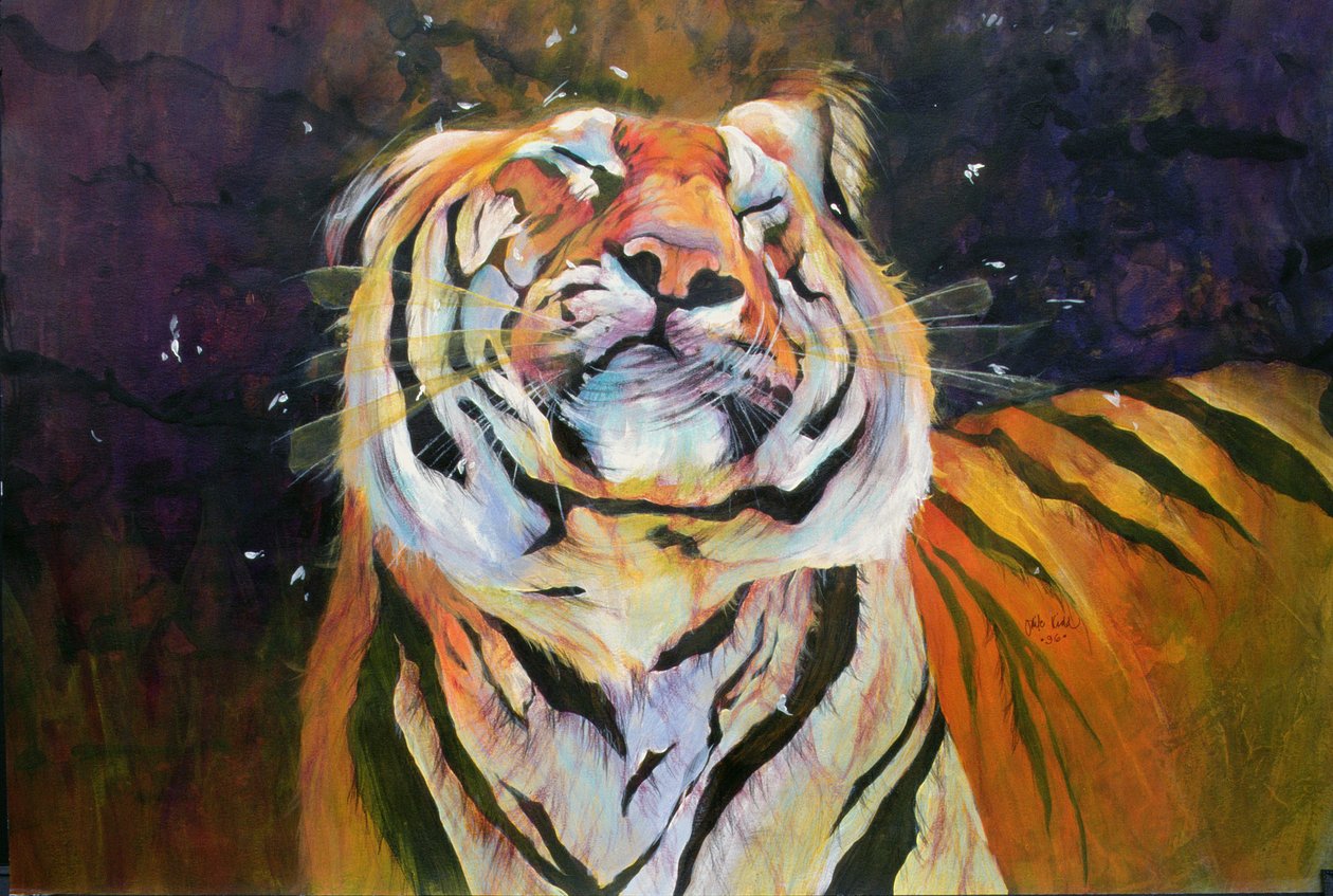Tiger (Shaking Head) by Odile Kidd
