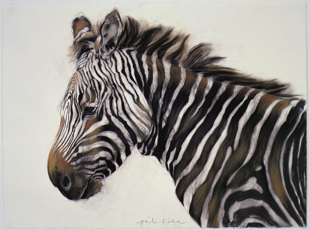 Zebra by Odile Kidd