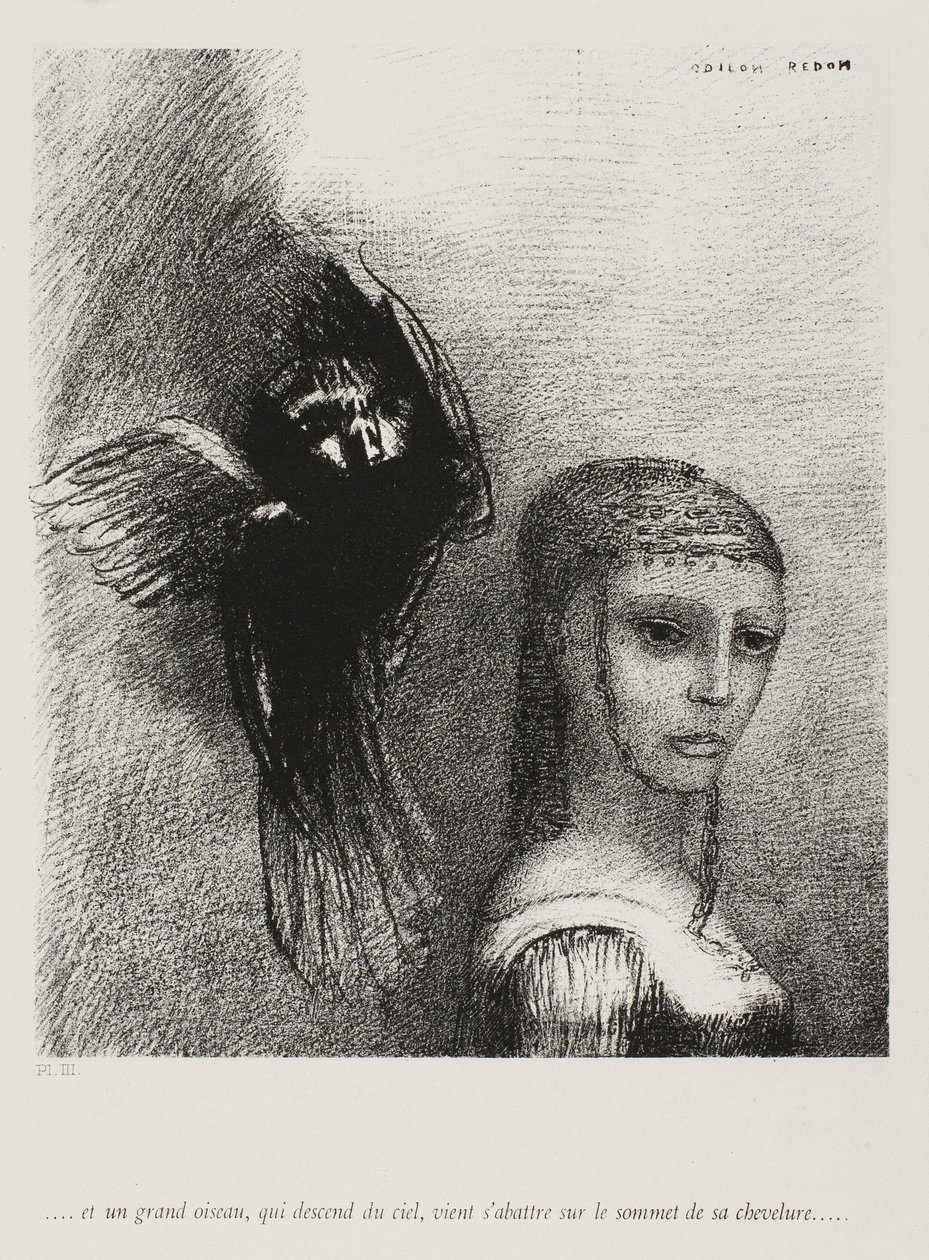 And a Large Bird, Descending From the Sky, Hurls Itself Against the Topmost Point of Her Hair (plate 3 of 10) by Odilon Redon