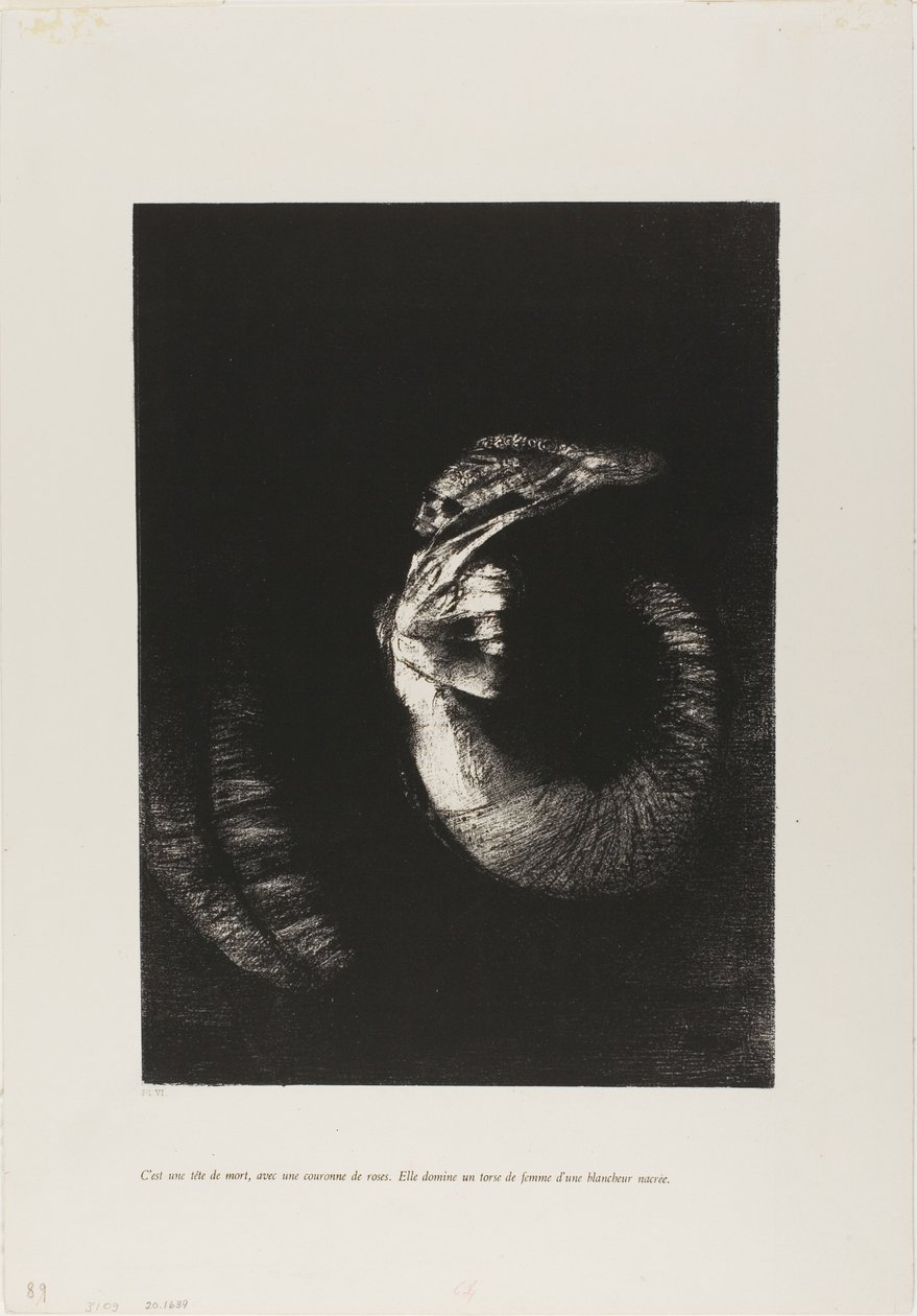 It is a Skull Wreathed in Roses... by Odilon Redon