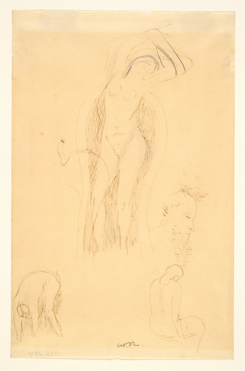 Sheet of Studies (Nude and Bearded Profile) by Odilon Redon