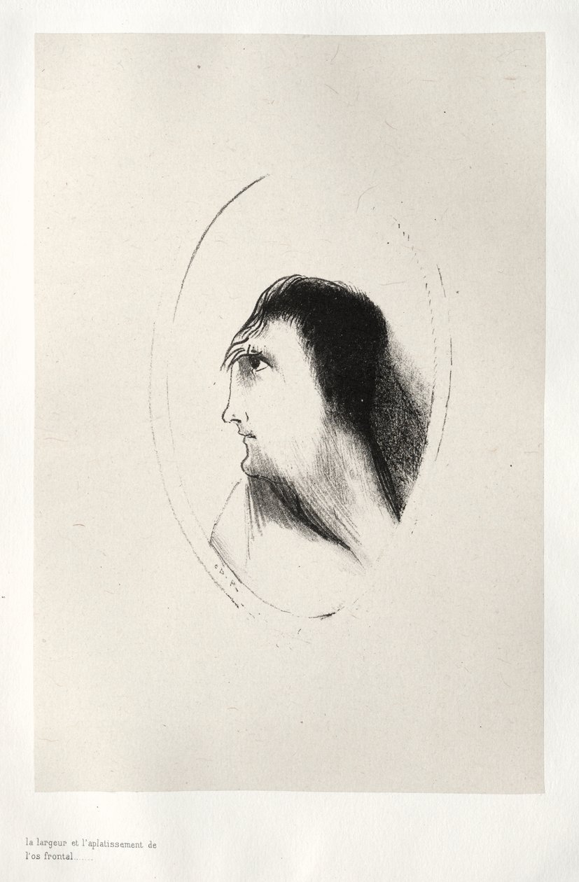 The Breadth and Flatness of the Frontal Bone by Odilon Redon