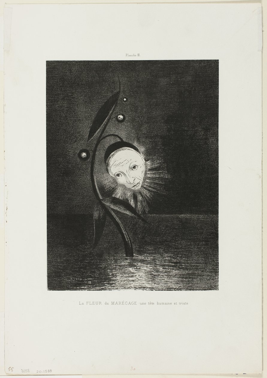 The Marsh Flower, a Sad Human Head, plate 2 of 6 by Odilon Redon